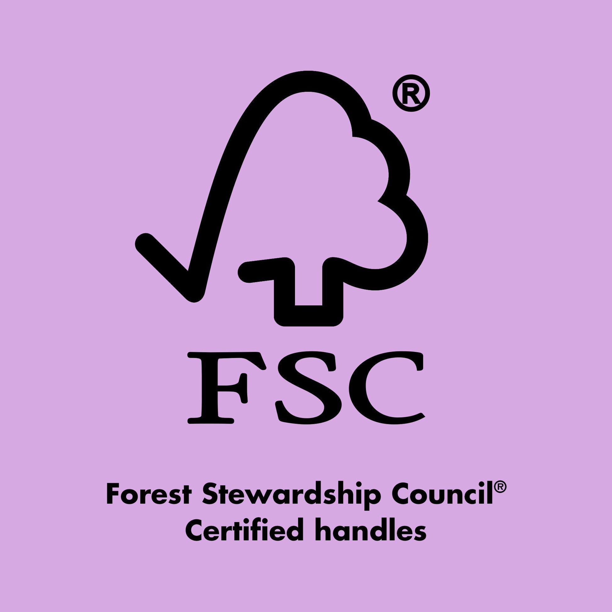 ten-out-of-ten-brush-kit-s8 0423_EDUCATION_FSC_EVERGREEN.jpg