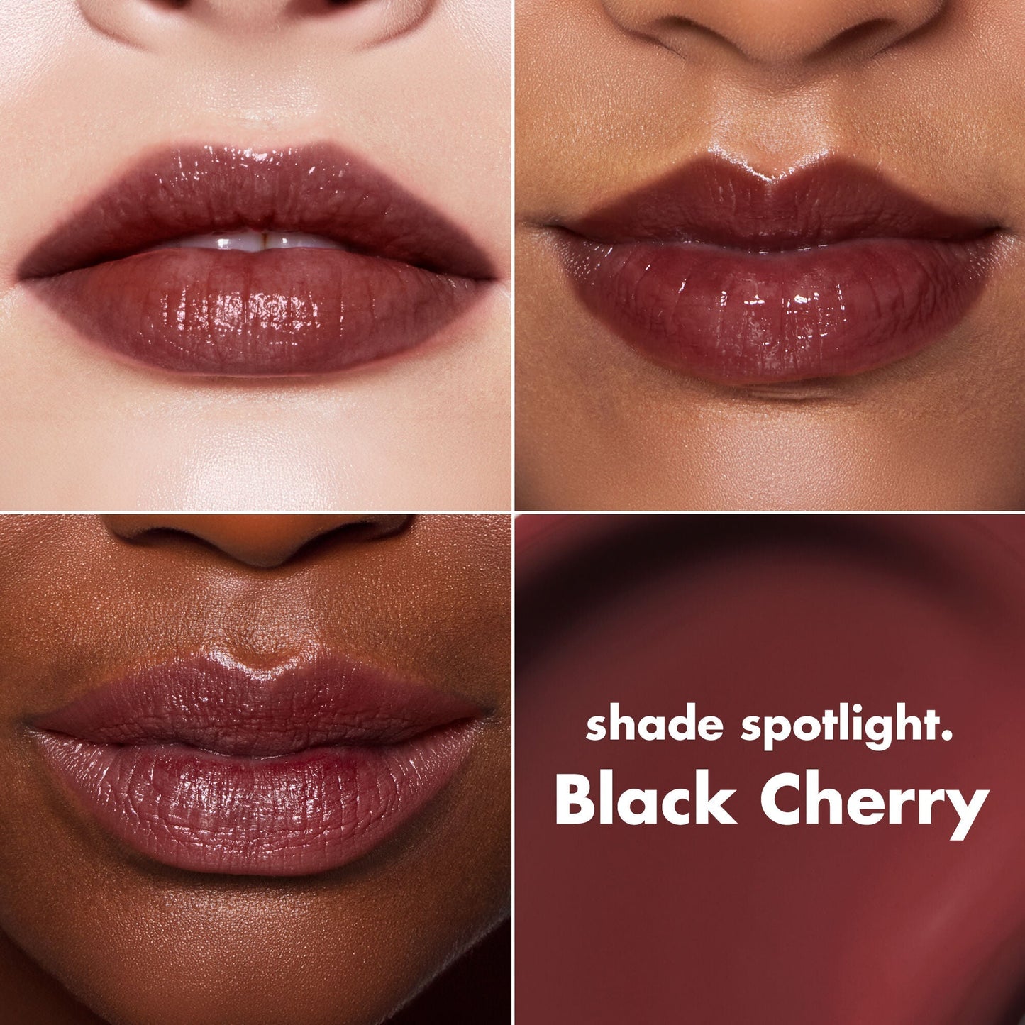 lip-lacquer-u6 0426_EDU_LipLaquer_ShadeChart_BlackCherry.jpg