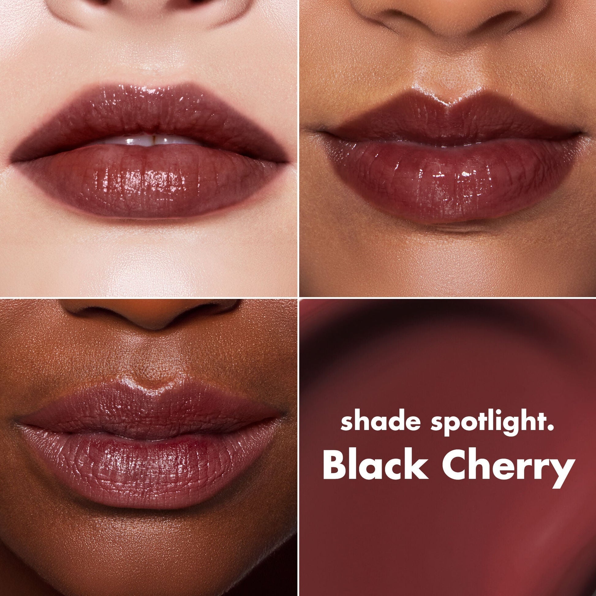 lip-lacquer-u6 0426_EDU_LipLaquer_ShadeChart_BlackCherry.jpg
