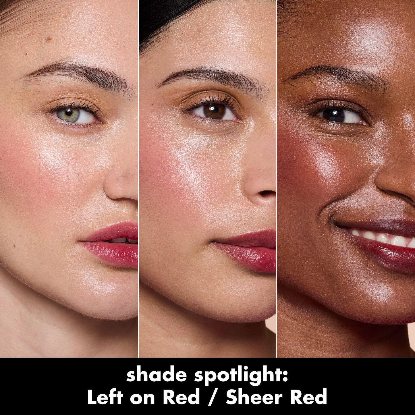 sheer-for-it-blush-tint-a8 0526_SEO_SheerForIt_ShadeSpotlight_LeftOnRed.jpg