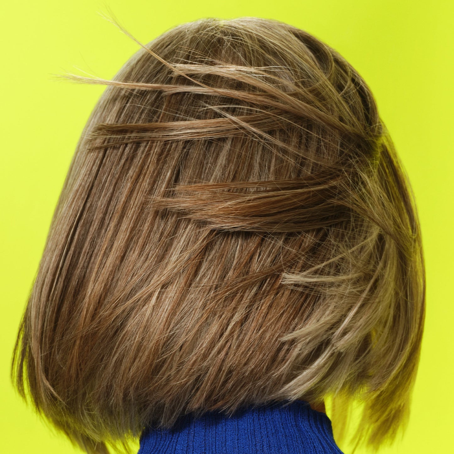 frizz-to-rizz-trio-a6 111725_Vicky_HumidityAntifrizz-Editorial_0538_w2QC_IGF_1x1_05a09617-4ccf-44a2-8545-199321a503e1.jpg